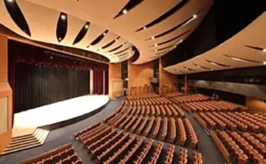 Konferans Salonu Ses Yalıtımı 10 konferans salonu tavan kaplama