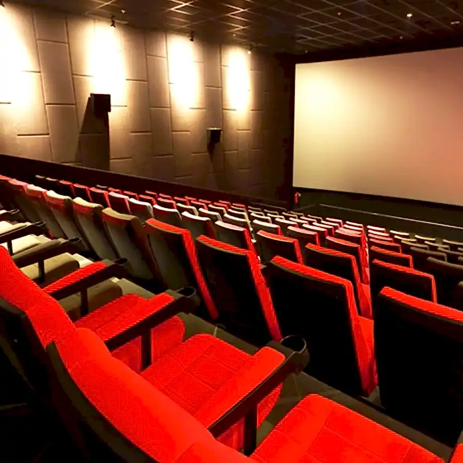 sinema salonu icin ozel koltuklar 689b068999d28